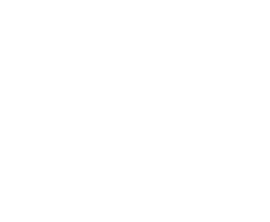 Lamina Logo